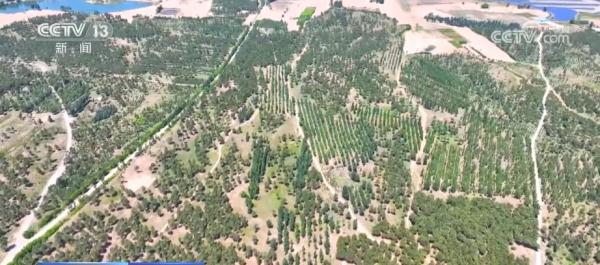 “点沙成金” “颜值”与产值兼具的特色发展之路