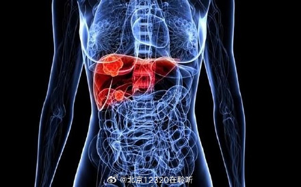 儿童肝酶升高，警惕“肝豆”