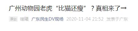 广州动物园最新回应