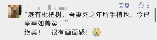 “请熟读并背诵全文”