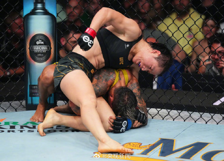 张伟丽打击数296对手29