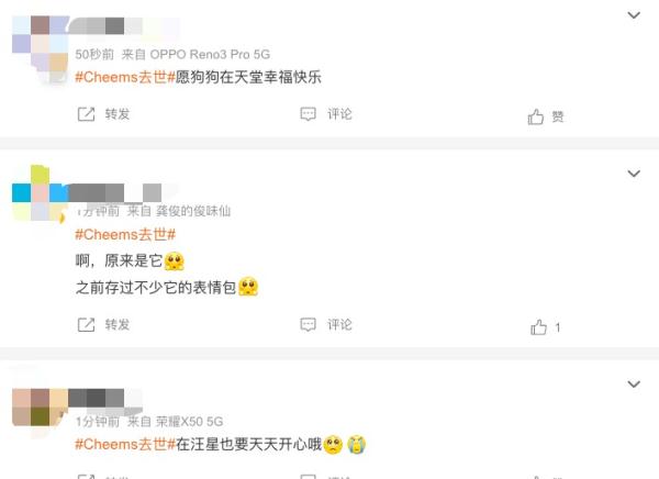 知名网红去世,粉丝遍布全球...... 知名网红去世,粉丝遍布全球......