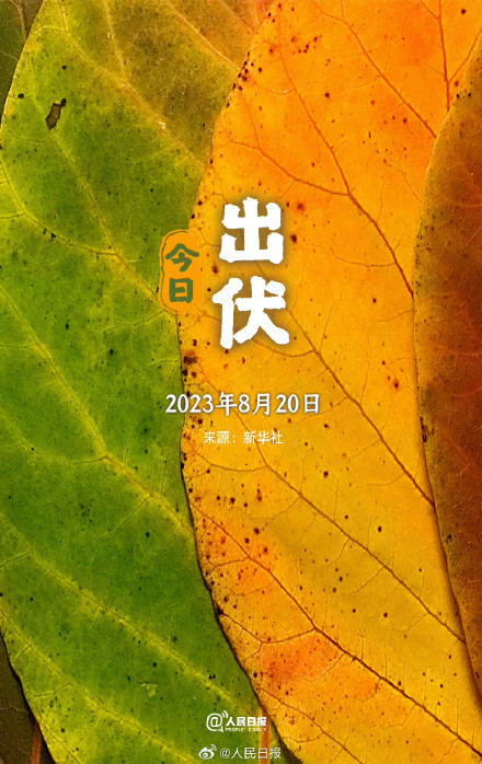 辞夏迎秋！超长三伏天终于结束了