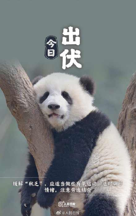 超长三伏天终于结束了，你感受到了吗？