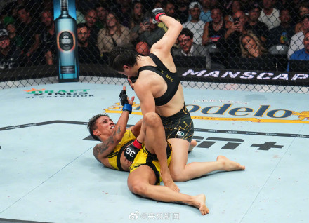 张伟丽打击数296对手29