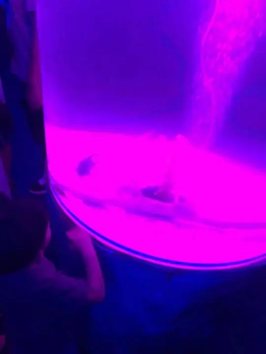 商场内设“海洋馆”说有“大型鲨鱼”，杭州家长带娃去看后大呼上当！