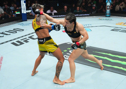 张伟丽打击数296对手29