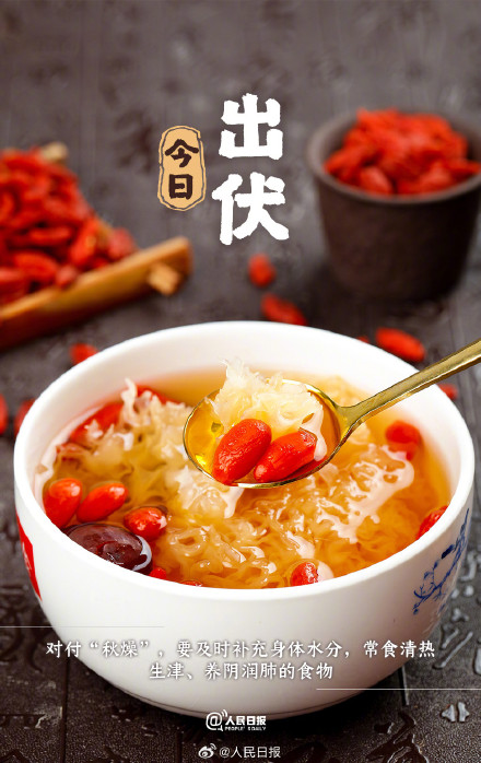 超长三伏天终于结束了，你感受到了吗？