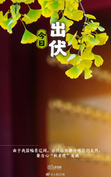 辞夏迎秋！超长三伏天终于结束了