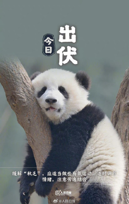 辞夏迎秋！超长三伏天终于结束了