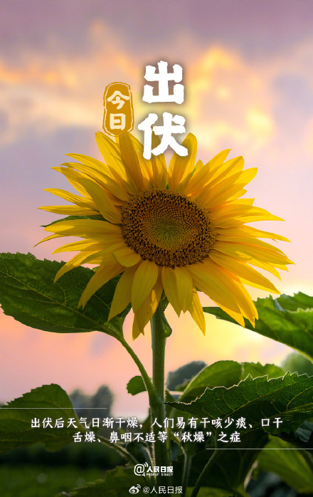 超长三伏天终于结束了，你感受到了吗？