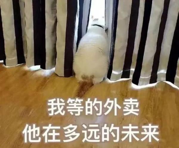 “馋嘴”男子，专偷外卖！原地开饭，现场被抓！