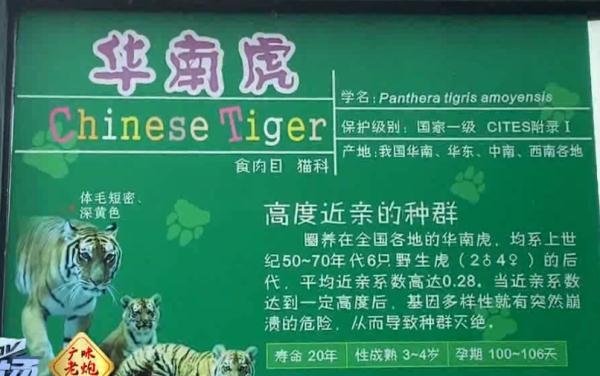 广州动物园最新回应
