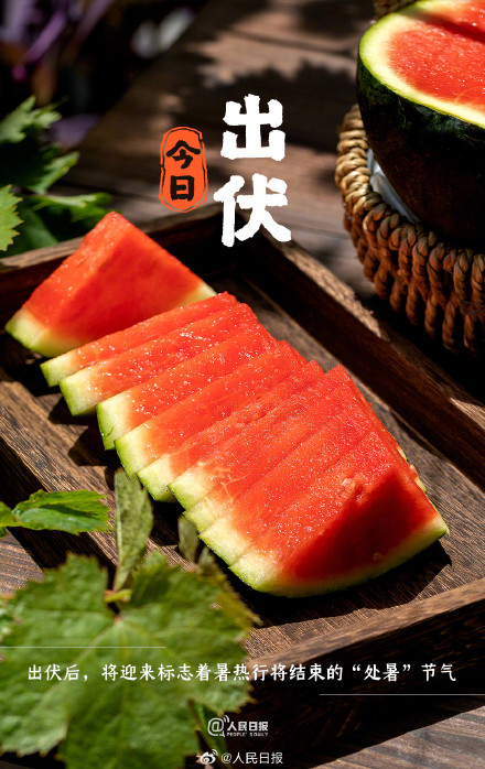 超长三伏天终于结束了，你感受到了吗？