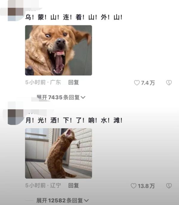 血脉觉醒的年轻人，已经爱上听凤凰传奇了
