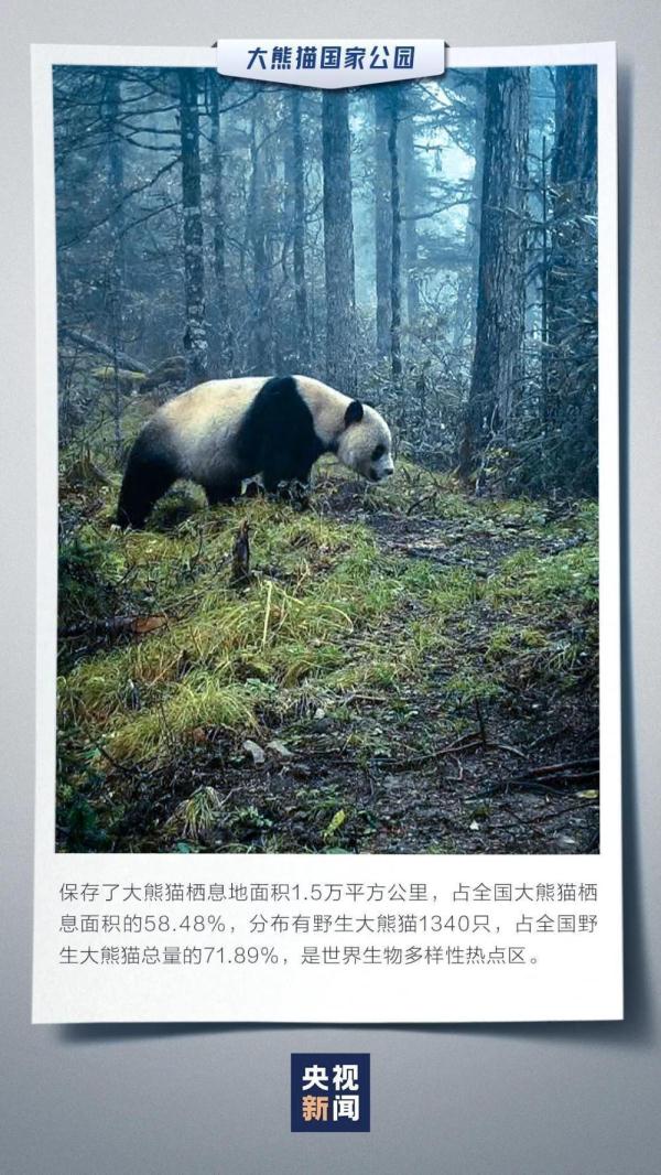 标识发布!中国国家公园有多美 一起来看看 标识发布!中国国家公园有多美 一起来看看