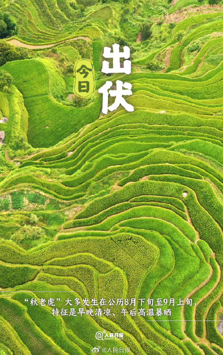 辞夏迎秋！超长三伏天终于结束了