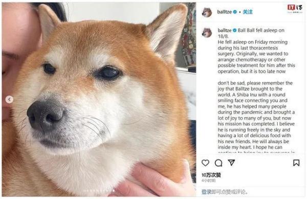 知名网红去世,粉丝遍布全球...... 知名网红去世,粉丝遍布全球......