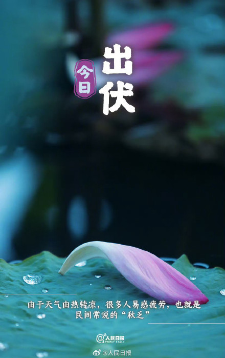 辞夏迎秋！超长三伏天终于结束了