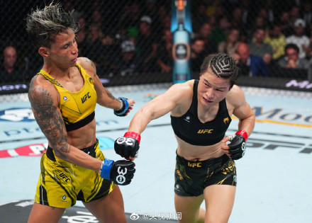 张伟丽打击数296对手29