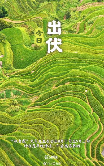 超长三伏天终于结束了，你感受到了吗？