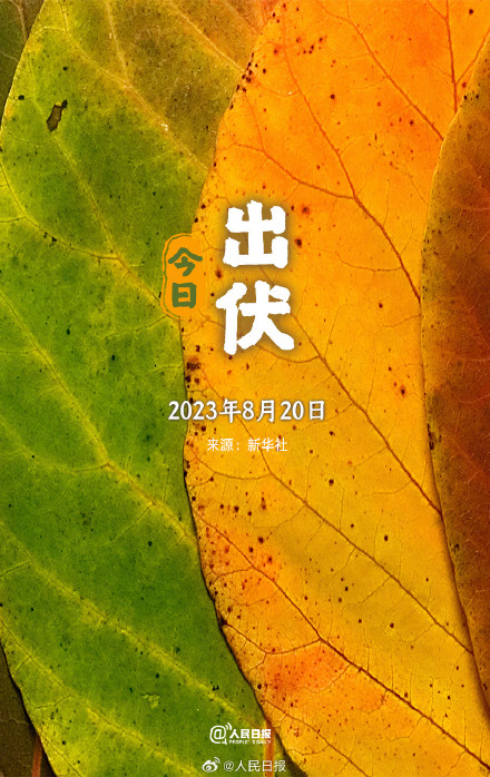 超长三伏天终于结束了，你感受到了吗？