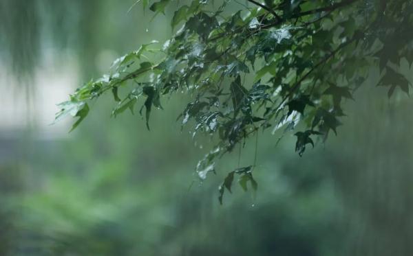 北京:31℃!午后局地雷阵雨,阵风较大 北京:31℃!午后局地雷阵雨,阵风较大