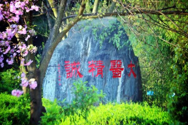 稀奇!云南这所学校连续13年长鸡枞 稀奇!云南这所学校连续13年长鸡枞