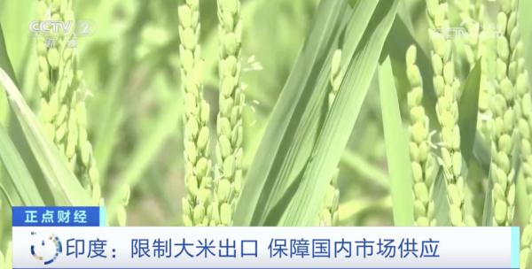 印度又出手了！