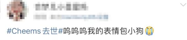 网红柴犬手术中去世！很多人爱用它的表情包……