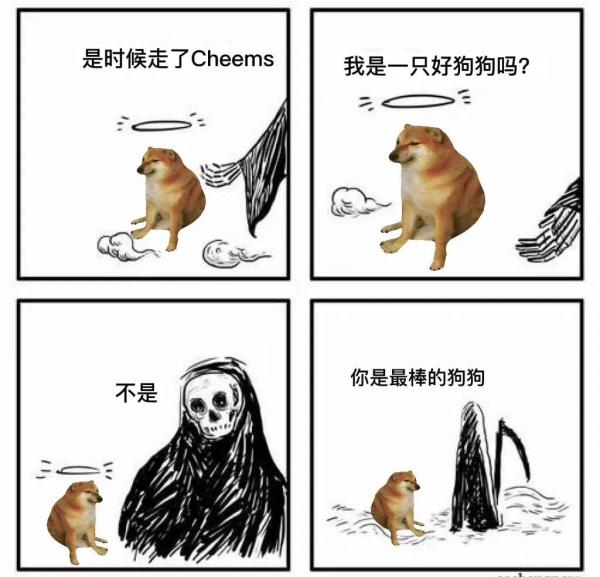 网红柴犬手术中去世！很多人爱用它的表情包……