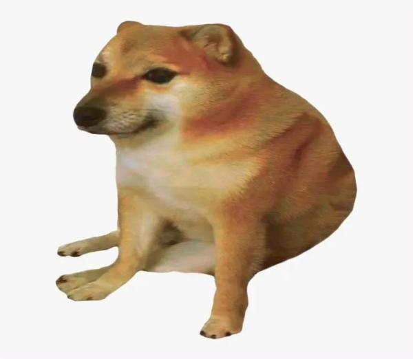 网红柴犬手术中去世！很多人爱用它的表情包……