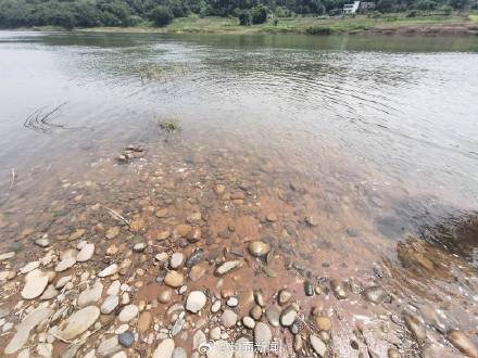 四川一高中生为救落水钓友溺亡 母亲:自己无比自责 四川一高中生为救落水钓友溺亡 母亲:自己无比自责