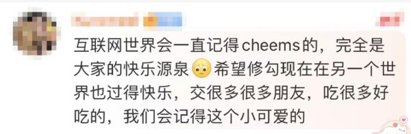 网红柴犬手术中去世！很多人爱用它的表情包……