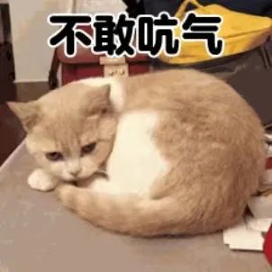 “我来驾校只办三件事,熄火、溜车和挨骂……” “我来驾校只办三件事,熄火、溜车和挨骂……”