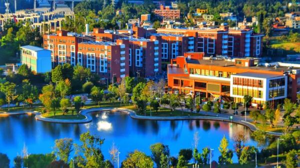 稀奇!云南这所学校连续13年长鸡枞 稀奇!云南这所学校连续13年长鸡枞