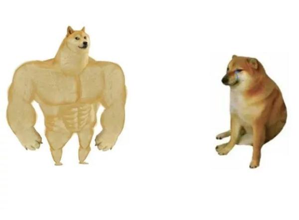 网红柴犬手术中去世！很多人爱用它的表情包……