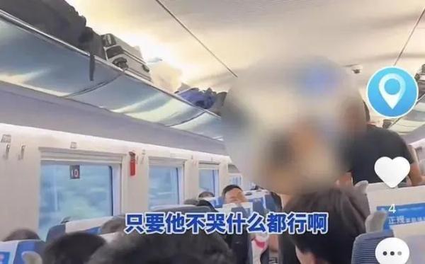 “闭嘴！”一女子在高铁大吼大叫只因1岁婴儿哭闹？这次没人支持她