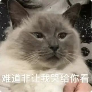 “我来驾校只办三件事,熄火、溜车和挨骂……” “我来驾校只办三件事,熄火、溜车和挨骂……”