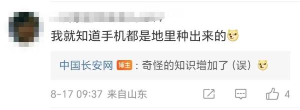 敦煌沙漠"盛产"这玩意儿？警察每年挖出百余部…