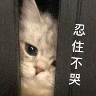 “我来驾校只办三件事,熄火、溜车和挨骂……” “我来驾校只办三件事,熄火、溜车和挨骂……”