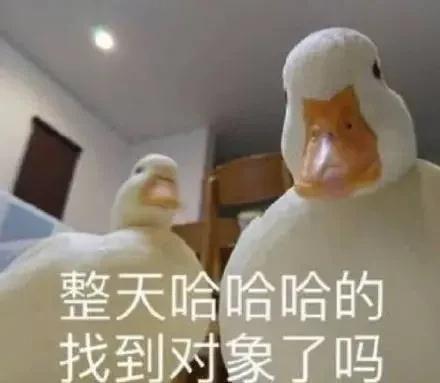 “我来驾校只办三件事,熄火、溜车和挨骂……” “我来驾校只办三件事,熄火、溜车和挨骂……”