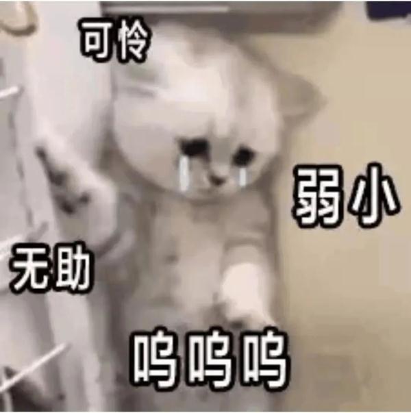 “我来驾校只办三件事,熄火、溜车和挨骂……” “我来驾校只办三件事,熄火、溜车和挨骂……”