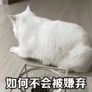 “我来驾校只办三件事,熄火、溜车和挨骂……” “我来驾校只办三件事,熄火、溜车和挨骂……”