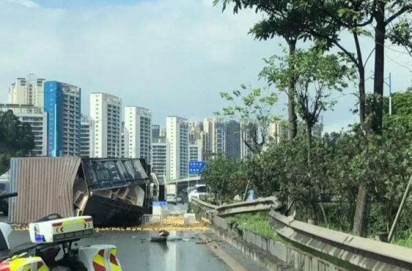 离谱!货车失控撞墙,交警到场赫然发现油门上卡着一只… 离谱!货车失控撞墙,交警到场赫然发现油门上卡着一只…