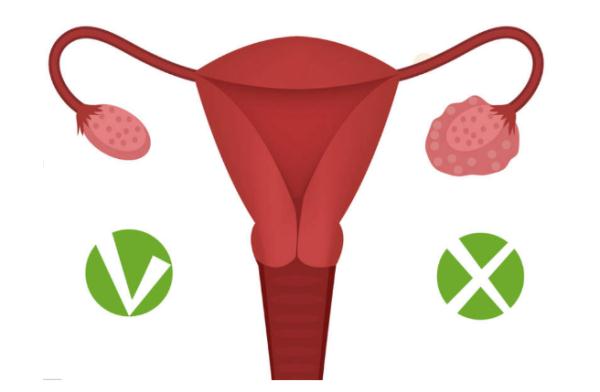 内分泌失调，身体也会出问题！这4点你做到没？