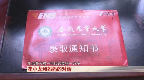 生活不易，他曾一度想放弃学业！如今圆梦大学，少年说他想成为......