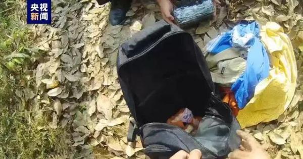 亚洲象一鼻甩出2.8公斤毒品!网友:大象可不是白溜达的 亚洲象一鼻甩出2.8公斤毒品!网友:大象可不是白溜达的