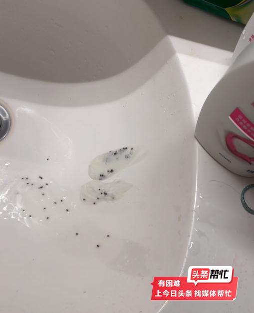 海飞丝洗发水挤出蟑螂卵？商家：24小时内会出解决方案