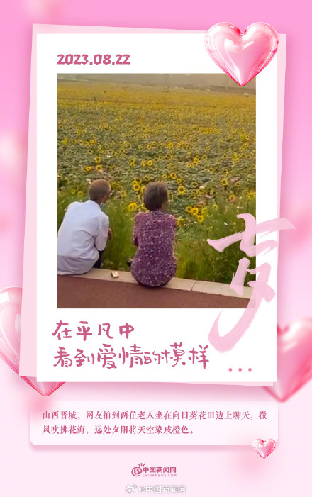 在平凡中看到爱情的模样